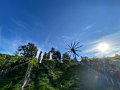 IMG_7240