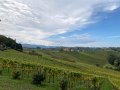 IMG_7304