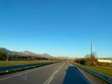 IMG_6939