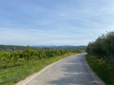 IMG_5721
