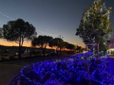 IMG_8147