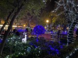 IMG_8169