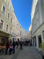 IMG_6461