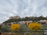 IMG_6563