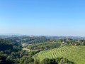 IMG_5056