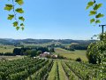 IMG_5068