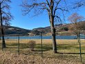 IMG_9460