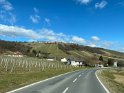 IMG_9463