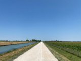IMG_4269
