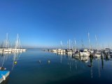 IMG_8795