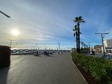 IMG_5247