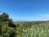 IMG_5330