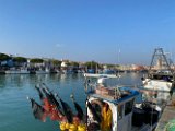 IMG_9103