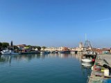 IMG_9108