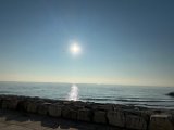IMG_8458