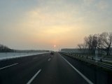 IMG_8255