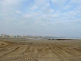 IMG_8303