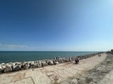 IMG_4502