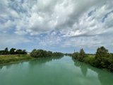 IMG_4539