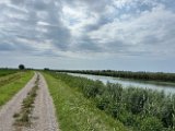 IMG_4540