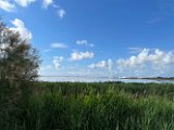IMG_2174