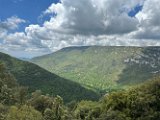 IMG_1709