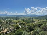 IMG_1833