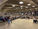 IMG_2500