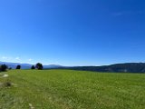 IMG_5364