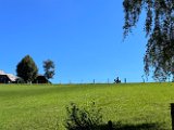 IMG_5374