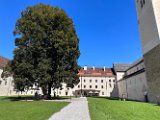 IMG_5401