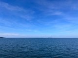 IMG_5727