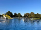 IMG_5482