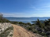 IMG_0951