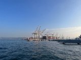 IMG_7703