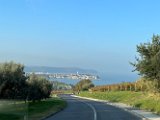 IMG_7711