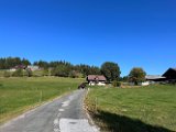 IMG_6907