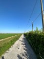 IMG_0777