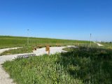 IMG_0778