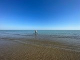 IMG_0851