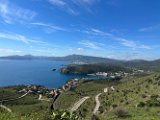 IMG_1767