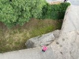 IMG_2091