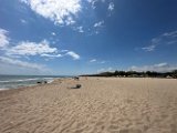 IMG_2494