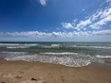 IMG_2529