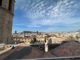 IMG_2987