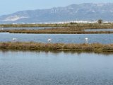 IMG_3617