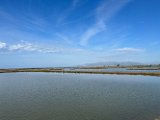 IMG_3619