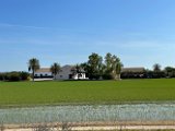 IMG_3654