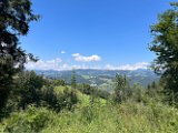 IMG_5862
