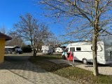 IMG_8868